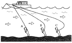 送気ホースの長さ