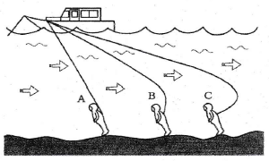 送気ホース長さ