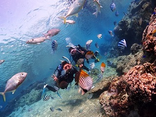 ダイビングライセンス